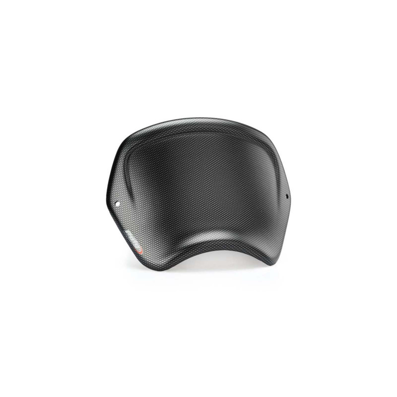 Carenage avant Puig Indian FTR1200 R Carbone 23/25 aspect carbone