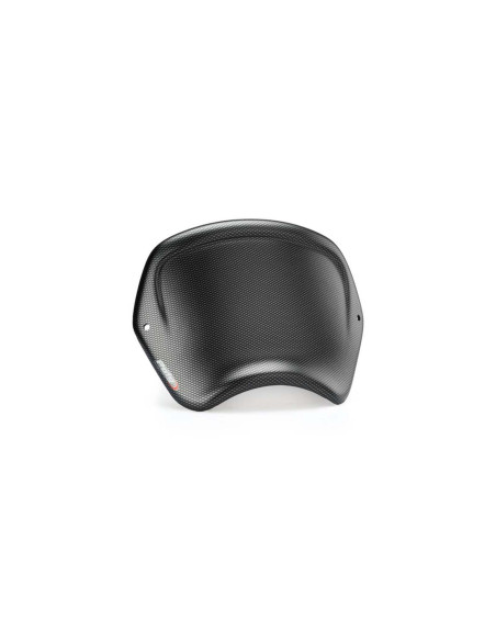 Carenage avant Puig Indian FTR1200 R Carbone 23/25 aspect carbone