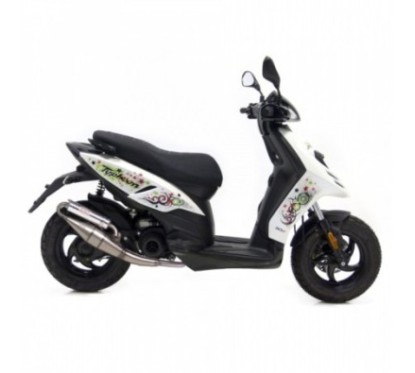 POT D'ECHAPPEMENT COMPLET LEOVINCE FAIT MAIN TT PIAGGIO TYPHOON 50 02-08 ALUMINIUM