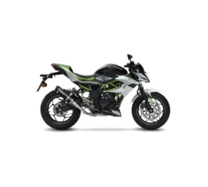 LEOVINCE TERMINALE SCARICO GP CORSA EVO KAWASAKI Z125 19-24 FIBRA DI CARBONIO