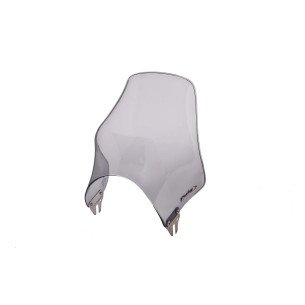 puig cupolino univ naked per cagiva raptor 125 03 12 fume chiaro