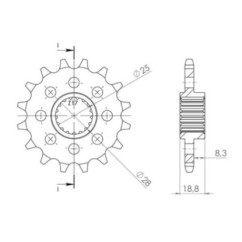 PINON SGR R AC P520-D15 APRILIA TUONO V4 E5 1100 21 23