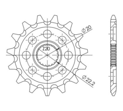 SGR PINION S AC P520-D13 BENELLI BN251 ABS E4 17-21