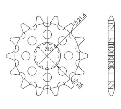 SGR PINION S AC P520-D13 FANTIC XXF CROSS 4T 450 21 23