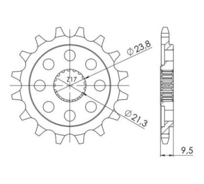 SGR PINION S AC P520-D13 HM CRE FR 450 03 13