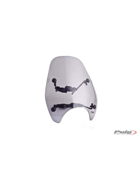 Puig custom fairing for Kawasaki ER-5 Twister 01-06 light smoke