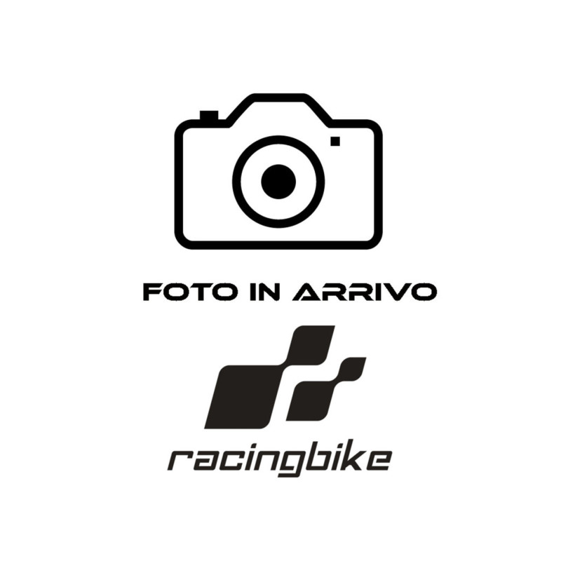 Pinon SGR S AC P520-D17 Triumph Street Twin 900 19-20