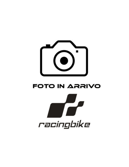 Pinon SGR S AC P520-D17 Triumph Street Twin 900 19-20