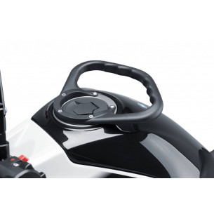 Hai:  MANIGLIA PASSEGGERO IN OFFERTA|TuningBike