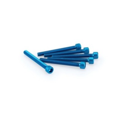 PUIG KIT VIS ANODIZZATE BLEU - COD. 0446A - Testa cilindrica, cava esagonale. Blister da 6 pezzi. Misura M6 x 55 mm.