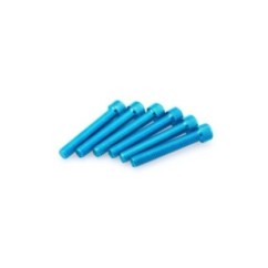 PUIG KIT VIS ANODIZZATE BLEU - COD. 0524A - Testa cilindrica, cava esagonale. Blister da 6 pezzi. Misura M8 x 50 mm.