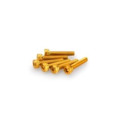 PUIG YELLOW ANODIZED SCREWS KIT - COD. 0185G - Cylindrical head, hexagon socket. Blister of 6 pieces. Size M5 x 25mm.