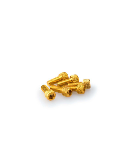 puig kit anodized screws m6 for windshields yellow color