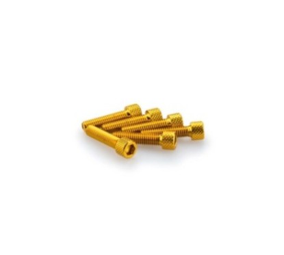 PUIG KIT DE TORNILLOS ANODIZADOS AMARILLO - COD. 0544G - Cabeza cilIndrica, casquillo hexagonal. BlIster de 6 piezas. TamaNo M6 