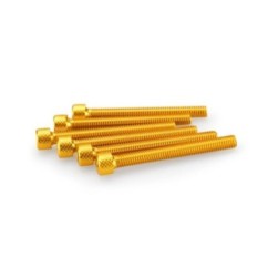 PUIG YELLOW ANODIZED SCREWS KIT - COD. 0446G - Cylindrical head, hexagon socket. Blister of 6 pieces. Size M6 x 55mm.