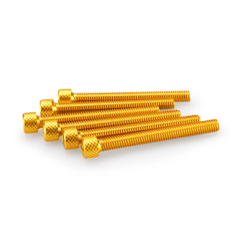 PUIG KIT DE TORNILLOS ANODIZADOS AMARILLO - COD. 0446G - Cabeza cilIndrica, casquillo hexagonal. BlIster de 6 piezas. TamaNo M6 