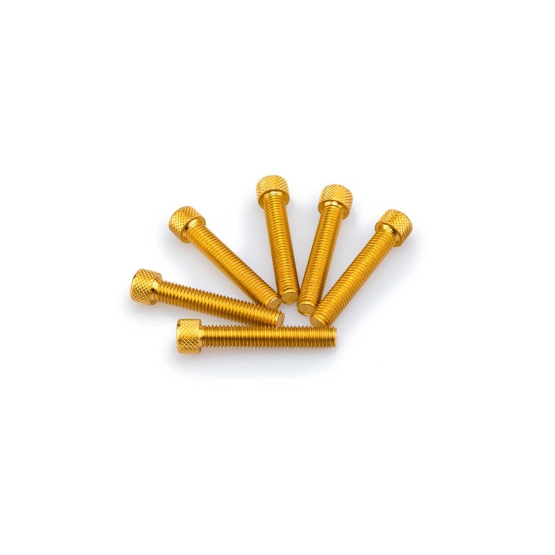 PUIG YELLOW ANODIZED SCREWS KIT - COD. 0516G - Cylindrical head, hexagon socket. Blister of 6 pieces. Size M8 x 45mm.