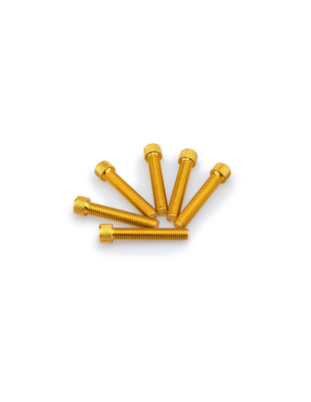 Kit de vis anodisees Puig M8 pour pare-brise couleur jaune