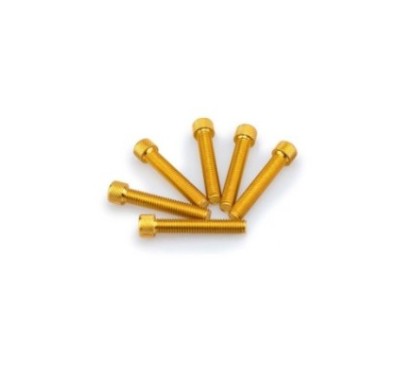 PUIG KIT DE TORNILLOS ANODIZADOS AMARILLO - COD. 0516G - Cabeza cilIndrica, casquillo hexagonal. BlIster de 6 piezas. TamaNo M8 