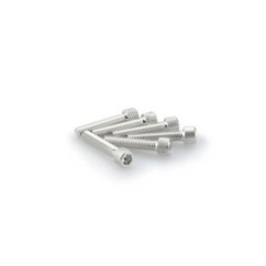 PUIG SILVER ANODIZED SCREWS KIT - COD. 0258P - Cylindrical head, hexagon socket. Blister of 6 pieces. Size M6 x 30mm.