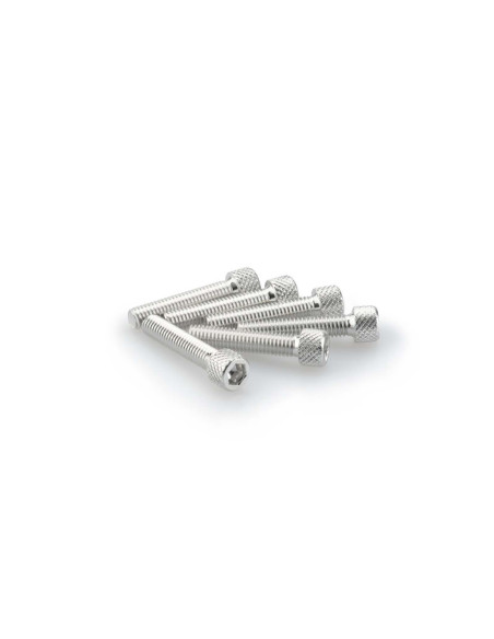 puig kit viti anodizzate m6 per cupolini colore silver