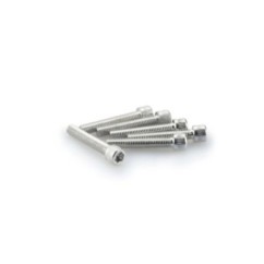 PUIG SILVER ANODIZED SCREWS KIT - COD. 0346P - Cylindrical head, hexagon socket. Blister of 6 pieces. Size M6 x 35mm.