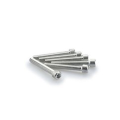 PUIG SILVER ANODIZED SCREWS KIT - COD. 0370P - Cylindrical head, hexagon socket. Blister of 6 pieces. Size M6 x 45mm.