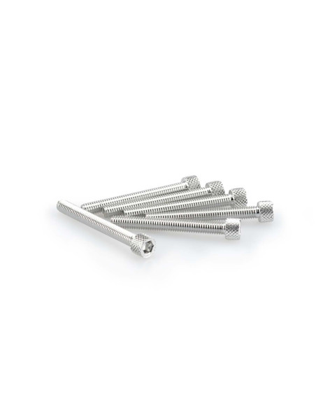 puig kit viti anodizzate m6 per cupolini colore silver