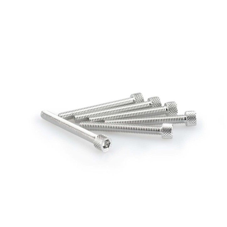 PUIG SILVER ANODIZED SCREWS KIT - COD. 0421P - Cylindrical head, hexagon socket. Blister of 6 pieces. Size M6 x 50mm.