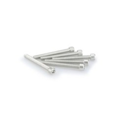 PUIG SILVER ANODIZED SCREWS KIT - COD. 0446P - Cylindrical head, hexagon socket. Blister of 6 pieces. Size M6 x 55mm.