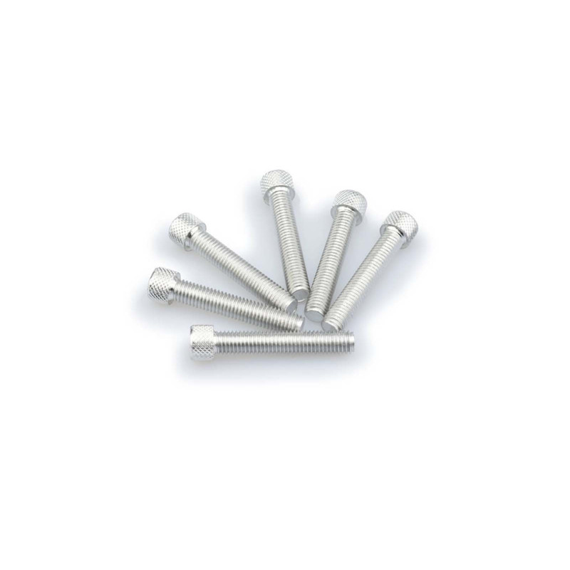 Kit de tornillos anodizados Puig M8 para parabrisas color plata