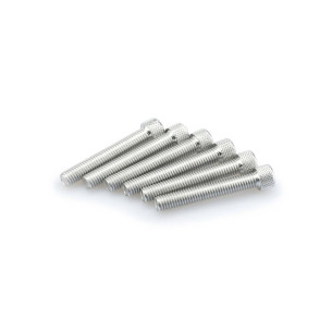 puig kit anodized screws m8 for windshields silver color