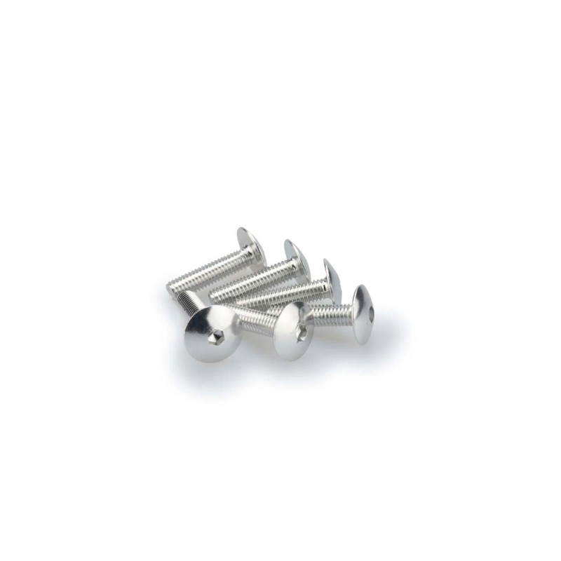 PUIG SILVER ANODIZED SCREWS KIT - COD. 0689P - Round head, hexagon socket. Blister of 6 pieces. Size M6 x 25mm.