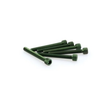 PUIG KIT DE TORNILLOS ANODIZADOS VERDE - COD. 0421V - Cabeza cilIndrica, casquillo hexagonal. BlIster de 6 piezas. TamaNo M6 x 5