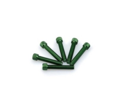 PUIG KIT VIS ANODIZZATE VERT - COD. 0516V - Testa cilindrica, cava esagonale. Blister da 6 pezzi. Misura M8 x 45 mm.