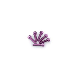 puig kit anodized screws m5 for windshields color purple