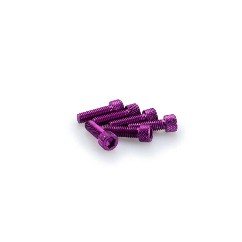 PUIG KIT DE TORNILLOS ANODIZADOS MORADO - COD. 0364L - Cabeza cilIndrica, casquillo hexagonal. BlIster de 6 piezas. TamaNo M6 x 