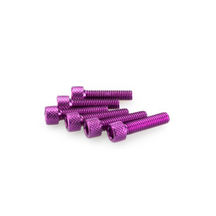 puig kit anodized screws m6 for windshields purple color