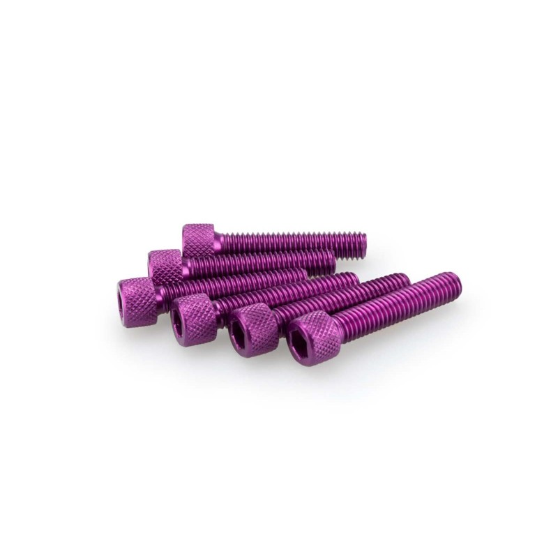 PUIG KIT DE TORNILLOS ANODIZADOS MORADO - COD. 0258L - Cabeza cilIndrica, casquillo hexagonal. BlIster de 6 piezas. TamaNo M6 x 