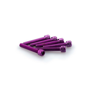 puig kit anodized screws m6 for windshields purple color