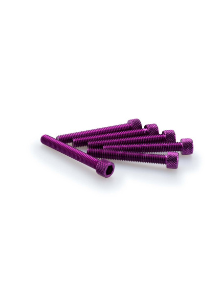 Kit de tornillos anodizados Puig M6 para parabrisas color morado