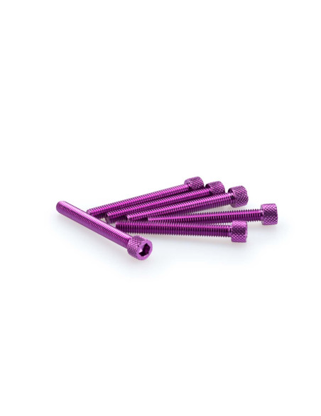 puig kit anodized screws m6 for windshields purple color