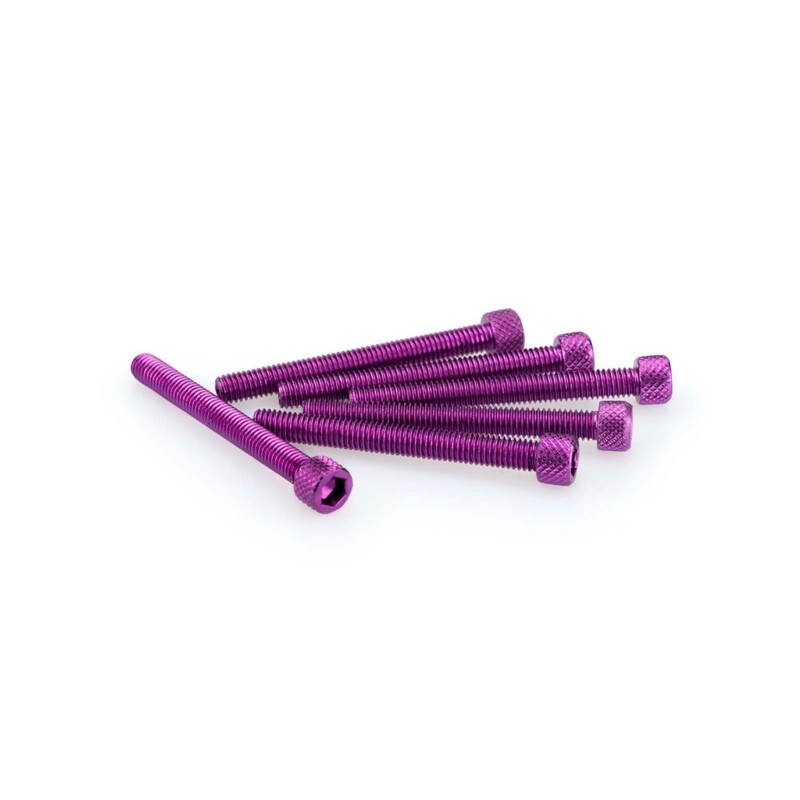 PUIG KIT DE TORNILLOS ANODIZADOS MORADO - COD. 0446L - Cabeza cilIndrica, casquillo hexagonal. BlIster de 6 piezas. TamaNo M6 x 