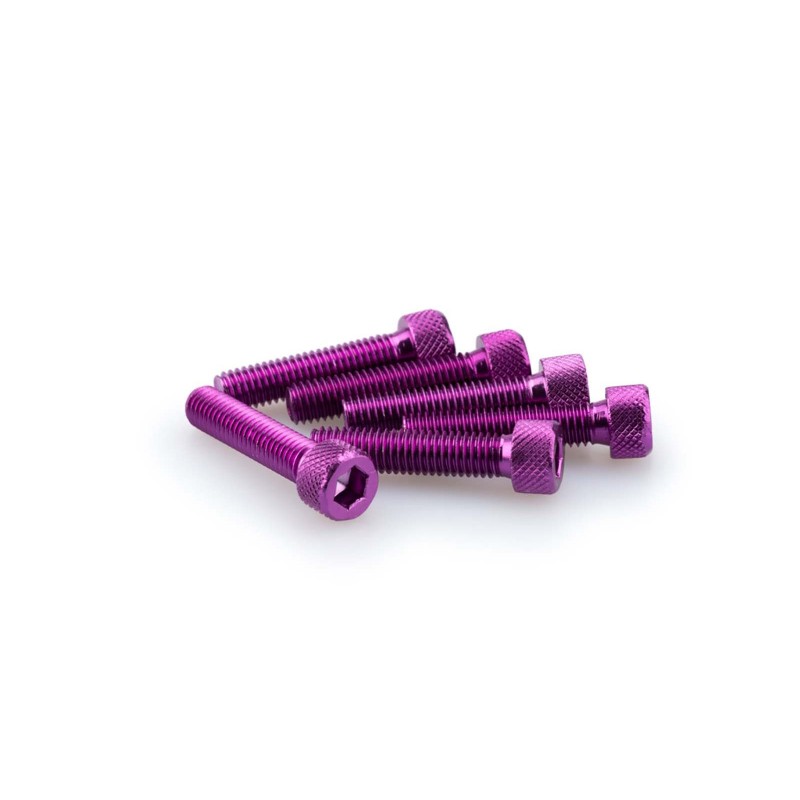 PUIG KIT DE TORNILLOS ANODIZADOS MORADO - COD. 0500L - Cabeza cilIndrica, casquillo hexagonal. BlIster de 6 piezas. TamaNo M8 x 