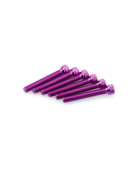 Puig Kit eloxierte Schrauben M8 fur Windschutzscheiben Farbe Lila