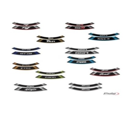 PEGATINAS PUIG RUEDAS LOGO BMW R NINE T 1200 PURE 17-24