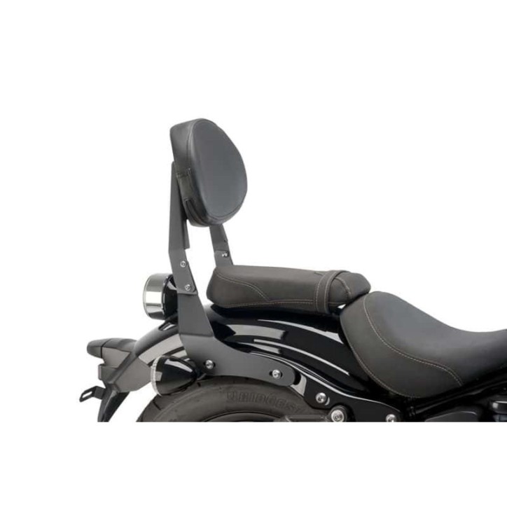 CUSTOM ACCES FIXED BACKREST FOR HARLEY D. FORTY-EIGHT 15-20 BLACK